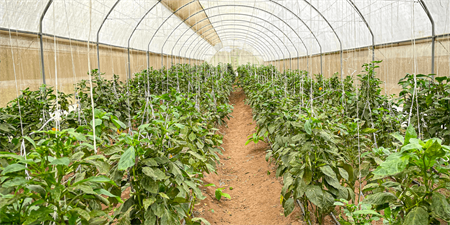 Call For Fabrics: My Story of Water - On The Farm!